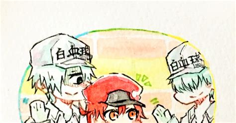White Blood Cellred Blood Cell Cells At Work Cells At Work 白赤