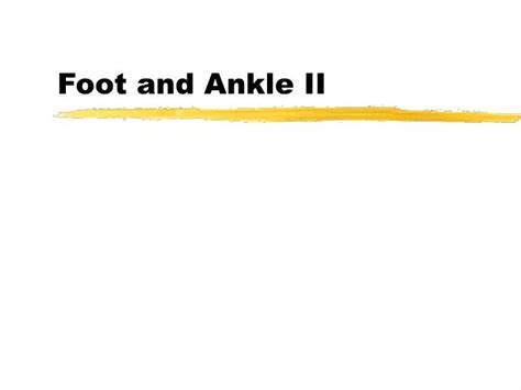 Ppt Foot And Ankle Ii Powerpoint Presentation Free Download Id523880