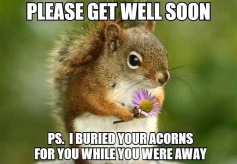 20 Funny Get Well Memes To Make You Feel Better Sheideas