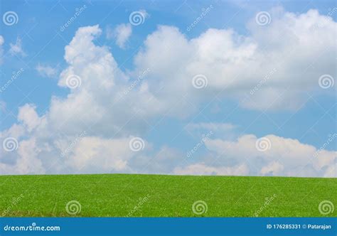 Natural View Of Green Grass Land With Cloud Blue Sky As Background