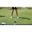 Do You Have The Correct Ball Position For Driver In Your Hand 