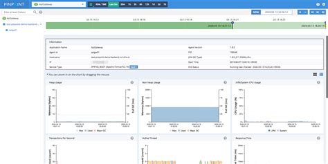 Overview Leading Open Source Apm