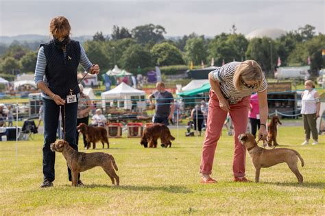 Devon County Show 2021 Highlights From The First Day Devon Live