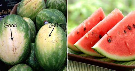 How To Pick The Perfect Watermelon 5 Key Tips From An Experienced