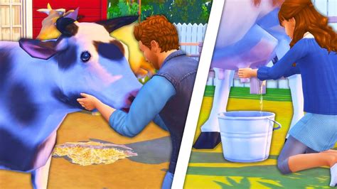 Dairy Cows In The Sims 4🐮🥛 Mod Review Amazing Realistic Animations