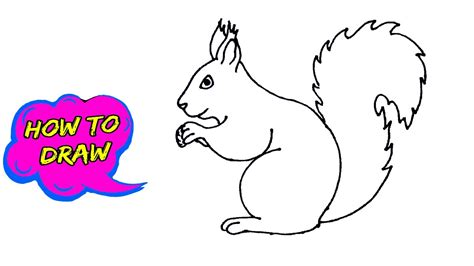 How To Draw A Squirrel For Kids Squirrel Drawing Youtube