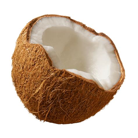 Coconut Png Image Purepng Free Transparent Cc Png Image Library