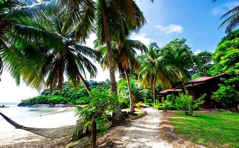 Pulau tenggol coral beach resort. Tenggol Coral Beach Resort 5D4N Diving Full Board Package ...