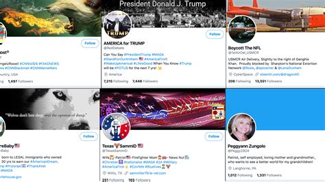 This New Twitter Account Hunts For Bots That Push Political Opinions