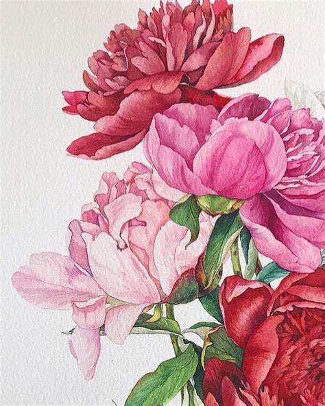 네 눈앞에 내 그림🌷 On Instagram “자기약 완성 Peony 재미있는작업이였다고한다 Copy하지마세요 제발 쫌 ” Flower Art Painting