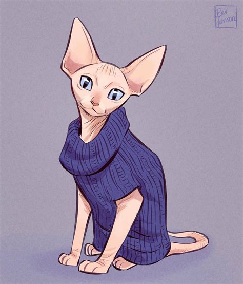 Bev Johnson On Instagram A Cozy Sphynx Cat In A Sweater Sphynx