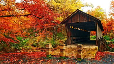 Covered Bridge In Autumn Forest Colorful Fall Autumn Covered