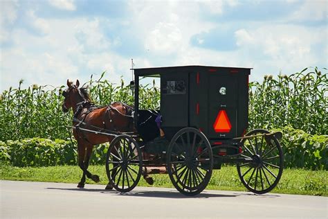 Amish Brown Bag Tour Middlefield Oh Sat June 8 2024