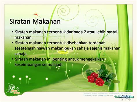 Sains makanan ialah kajian pelbagai disiplin makanan dan penggunaan pengetahuan itu mendapat untuk membangunkan produk dan proses makanan, memelihara dan menyimpan makanan, dan memastikan keselamatan dan kualiti makanan. Rantai Makanan dan Siratan Makanan: Bahan Bantu Mengajar