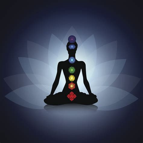 A Guide To The Chakras Yoga Lily Yoga Tai Chi Qigong Wellness