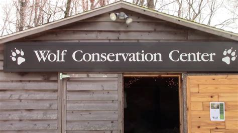 Wolf Conservation Center Youtube