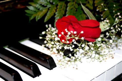 So there's reason to think that the christians might. Unique Valentine's Day Gift Idea: Create a Piano Song for ...
