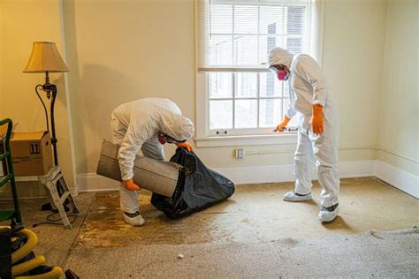 Everything You Need To Know About Water Damage Restoration Mouldmen