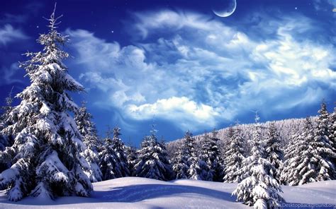 Winter Wonderland Wallpapers And Backgrounds Snow Hd Pic