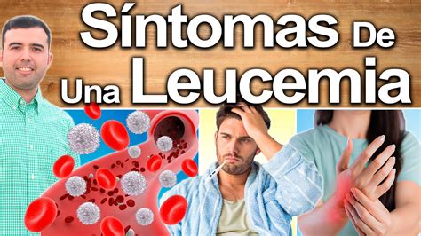 Esto Indica Leucemia Signos Y Síntomas De Leucemia O Cáncer En La