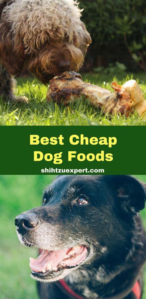 Nutrition analysis of the best puppy foods. Best Cheap Dog Food Top 10 High Quality Brands [Under $1 ...