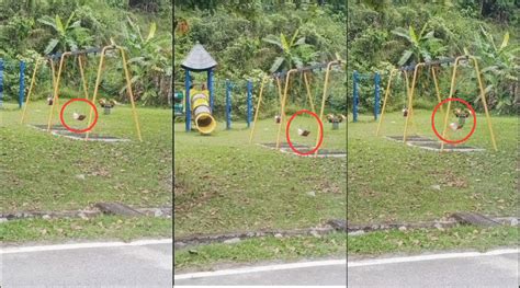 What does kacau mean in malay? (Video) "Mainlah Elok-Elok, Jangan Kacau Orang..," Lelaki ...