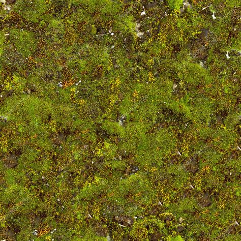 Green Moss Seamless Tileable Texture — Foto Stock © Tashatuvango