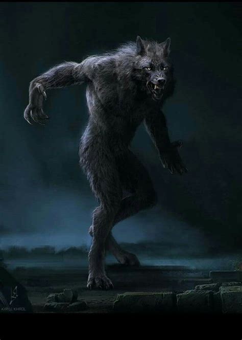 Who Would Win In A Fight A Kangal Or A Werewolf Quora