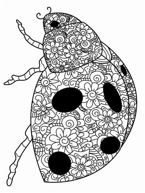 Printable Ladybug Coloring Pages Customize And Print