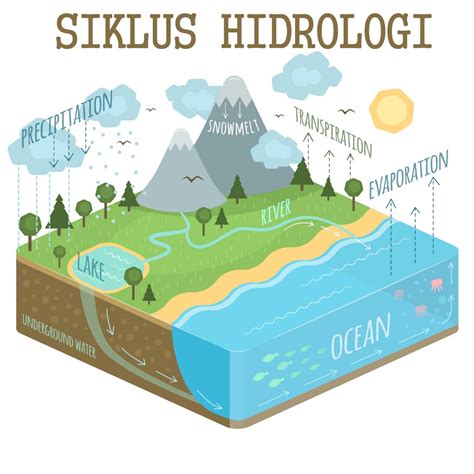 Pengertian Macam Macam Proses Komponen Siklus Hidrologi Images