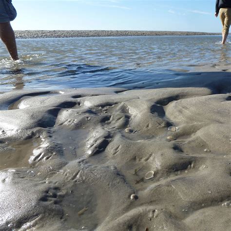 Wattenmeer on the german wikipedia.wikipedia de. Wattenmeer | Pellworm