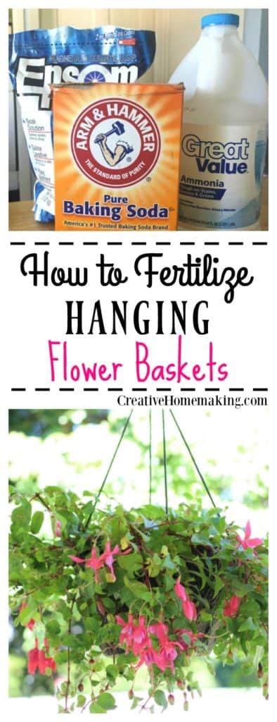 How to grow christmas cactus successfully. How to Fertilize Hanging Flower Baskets - Creative Homemaking