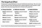 Grapefruit Side Effects With Medication Pictures