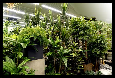 We specialise in a variety of. Finest quality artificial plants that look so realistic ...