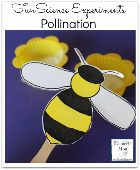 fun science experiments pollination experiment