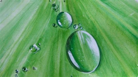 Painting Water Drops On Leaf With Watercolour Youtube