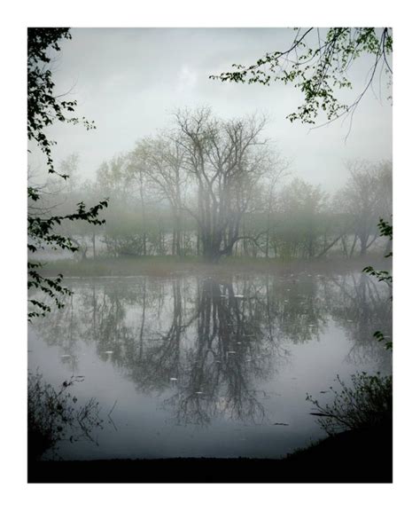 Trees And Reflections On A Foggy Day Oc 4000x6000 Igeliotbw R