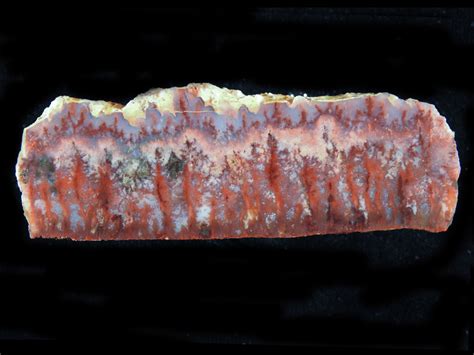 Forest Fire Plume Agate