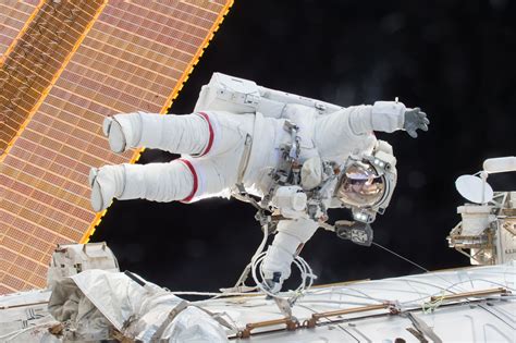 How A Year In Space Affects The Brain Penn Today