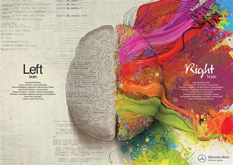 Activation Of Right And Left Side Of The Brain Nexus Newsfeed