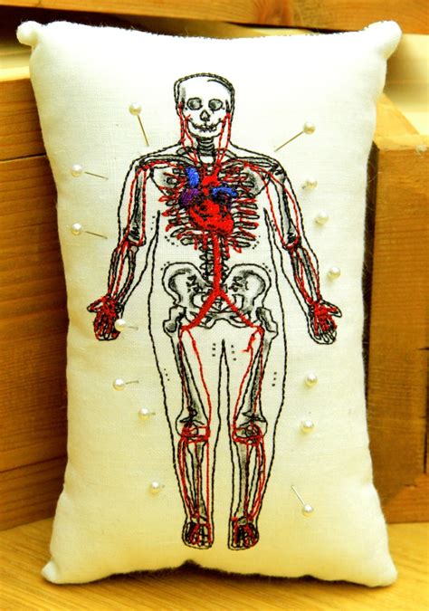 Dissected Human Pin Cushion Alternative T Heart Etsy