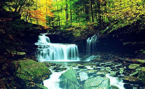 1920x1080px 1080p Free Download Waterfall In Forest Rocks Stunning