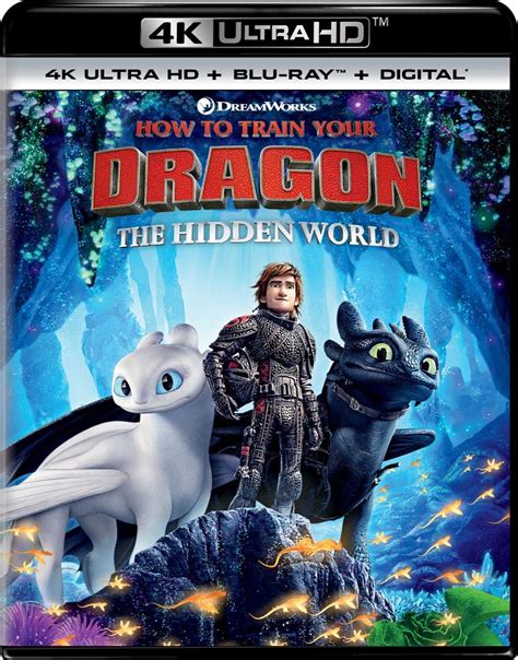 It's a lot simpler than you might think. How to Train Your Dragon: The Hidden World DVD Release ...