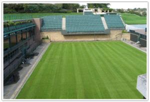 Updated on april 3, 2020. Wimbledon History, Championships, Lawn tennis, History of wimbledon tennis