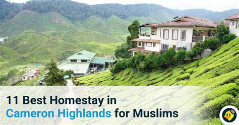 Hani muslim homestay daire odaları için harika fırsatlar. 11 Best Homestays in Cameron Highlands for Muslims ...