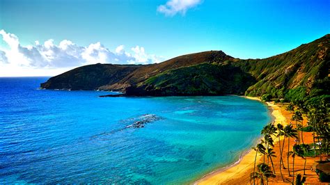 Free Download Ocean Coastline From The Shores Of Maui Hawaii On The