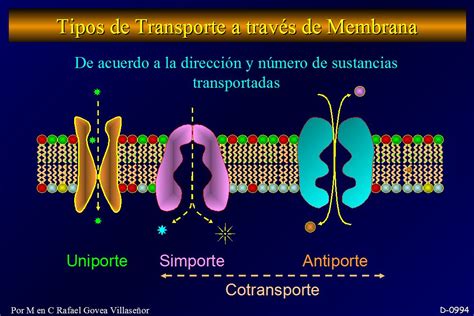 Membrana y Transporte a través de membrana