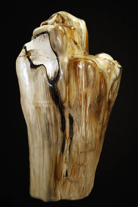 Petrified Wood Sculpture Stick And Stones Collection
