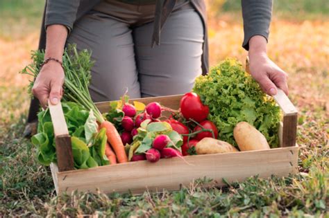 Bio Face Aux Marges Folles Des Supermarchés Lachat Direct Aux