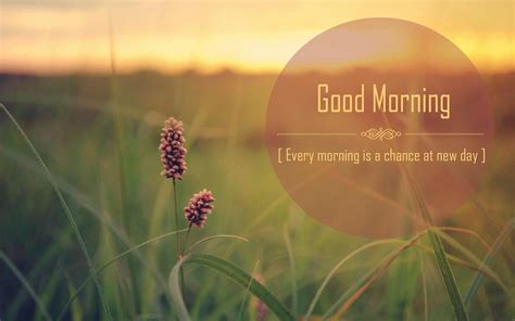 28 Best Good Morning Quotes
